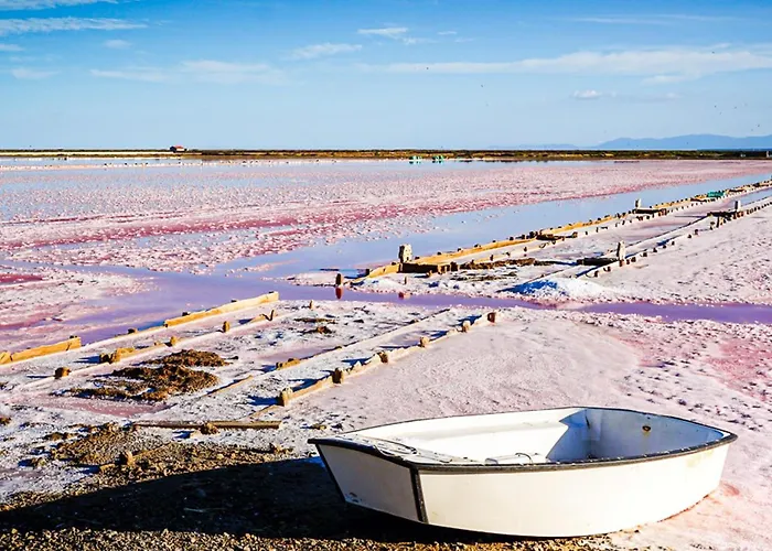 דירה Appt Proche